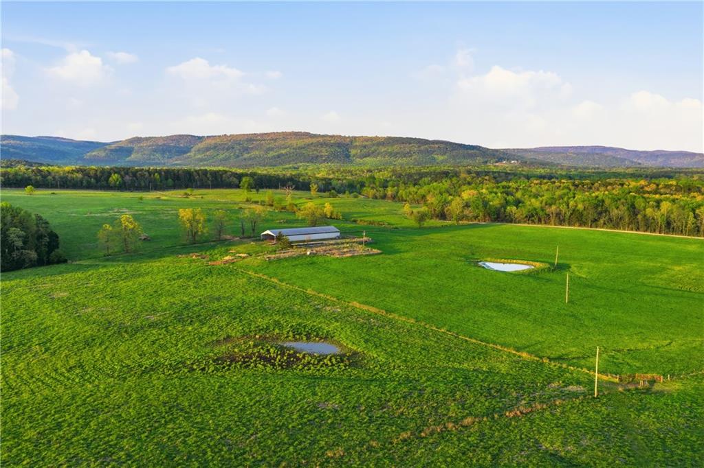 main property photo 47