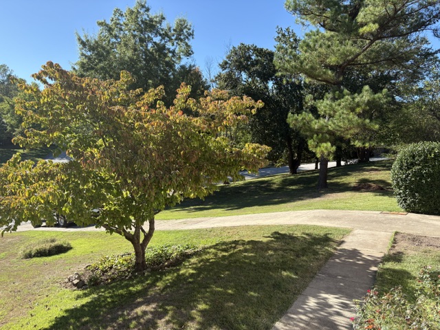 main property photo 42