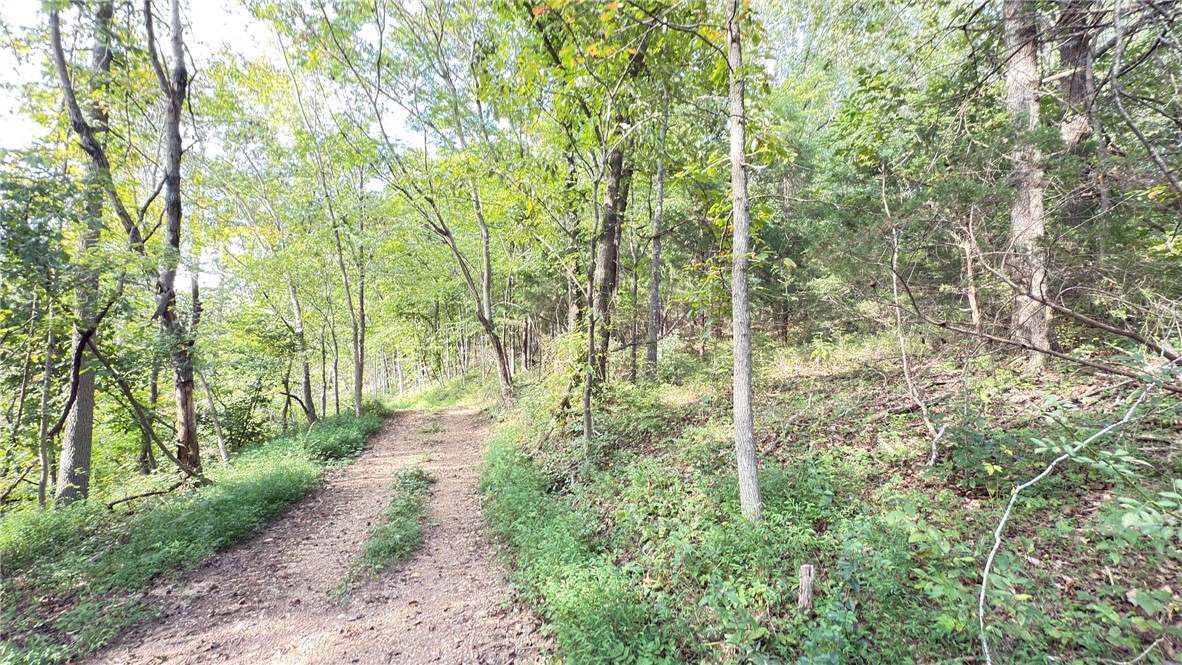 main property photo 19