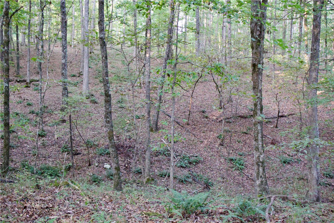 main property photo 27