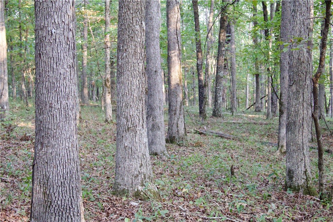 main property photo 31