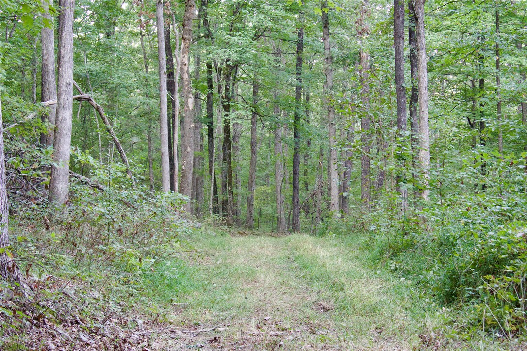 main property photo 36
