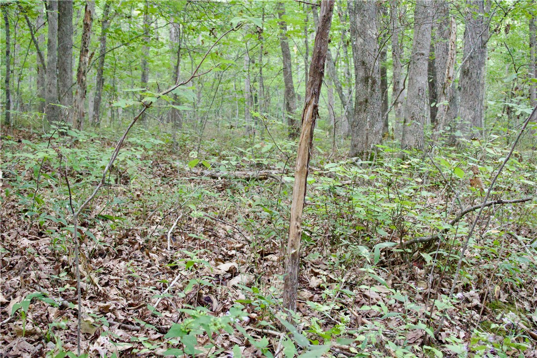 main property photo 37