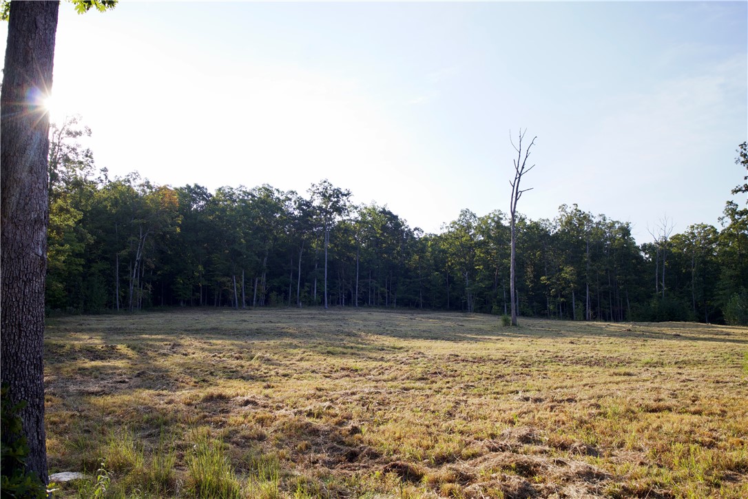main property photo 39