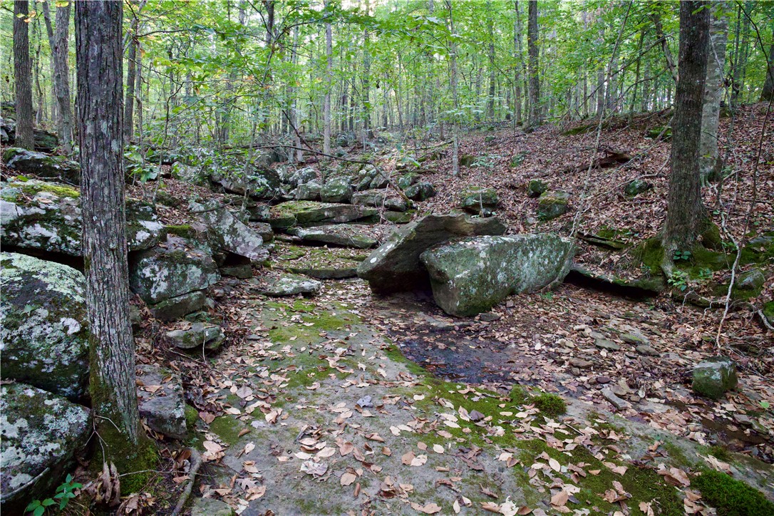 main property photo 43