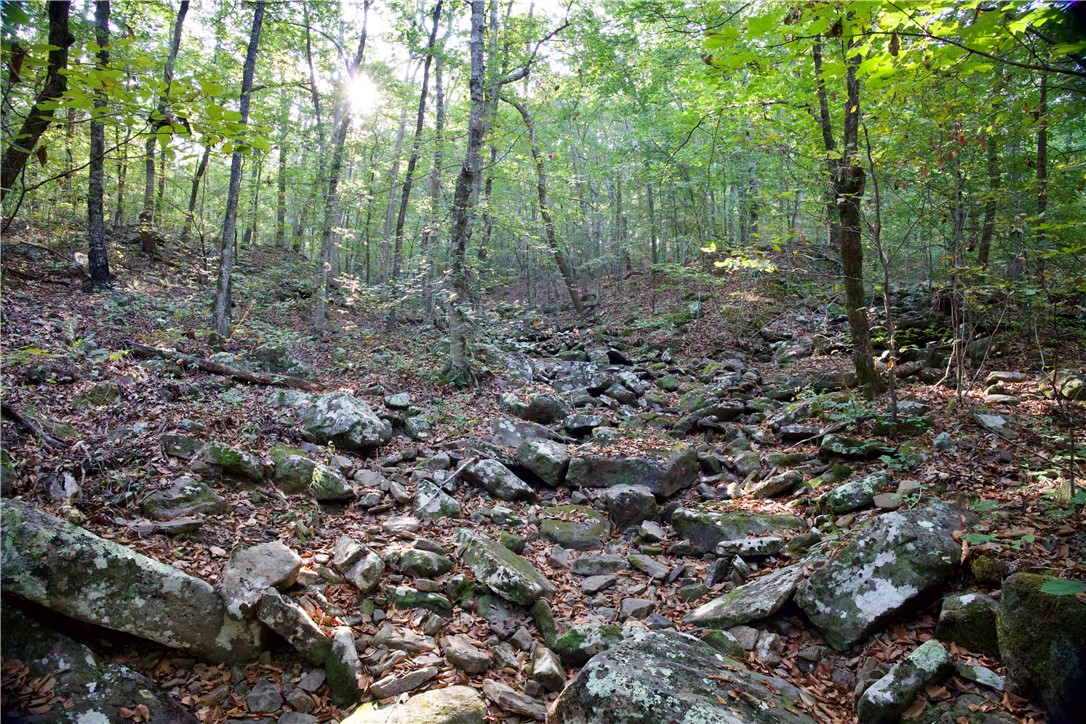 main property photo 44