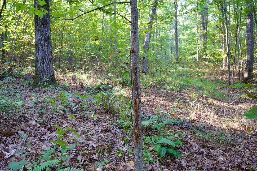 main property photo 45