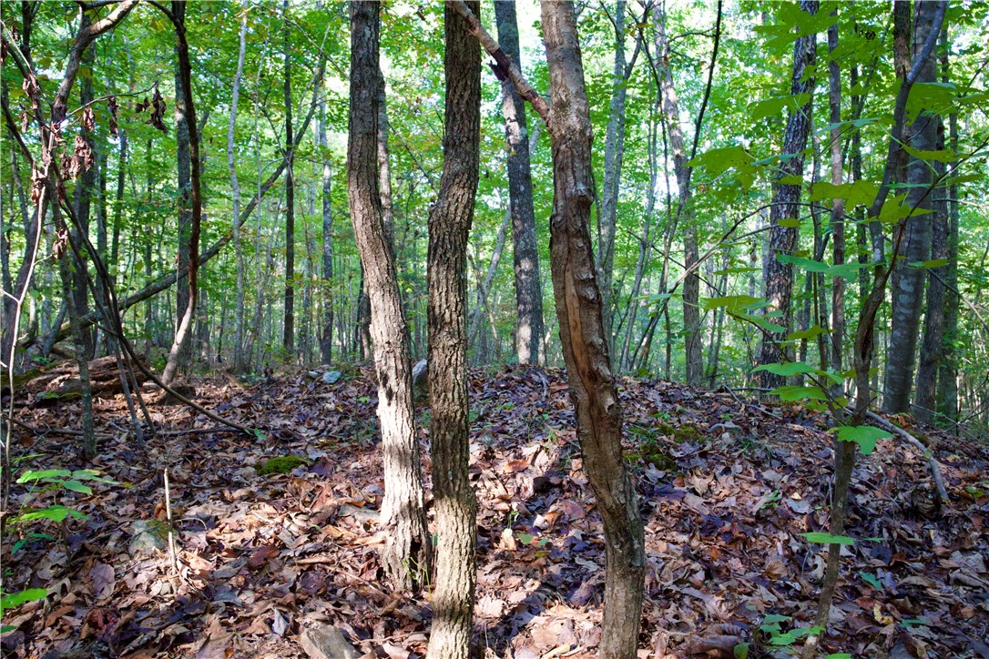 main property photo 46