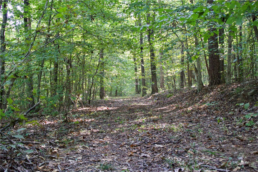 main property photo 47
