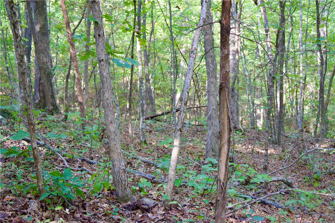 main property photo 48