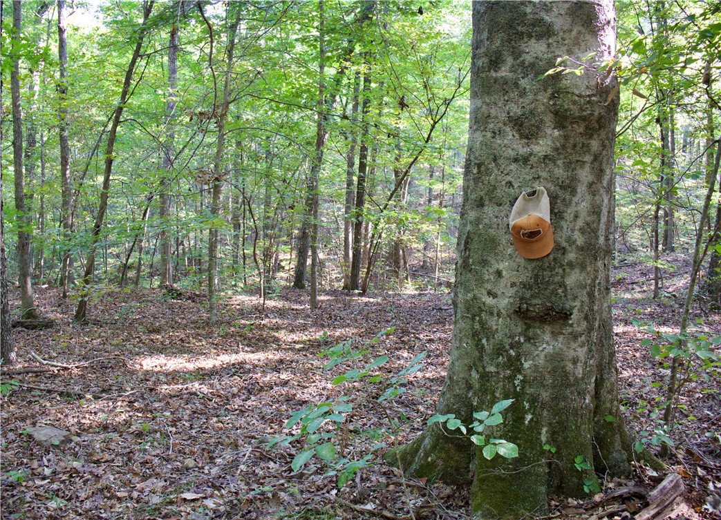 main property photo 50