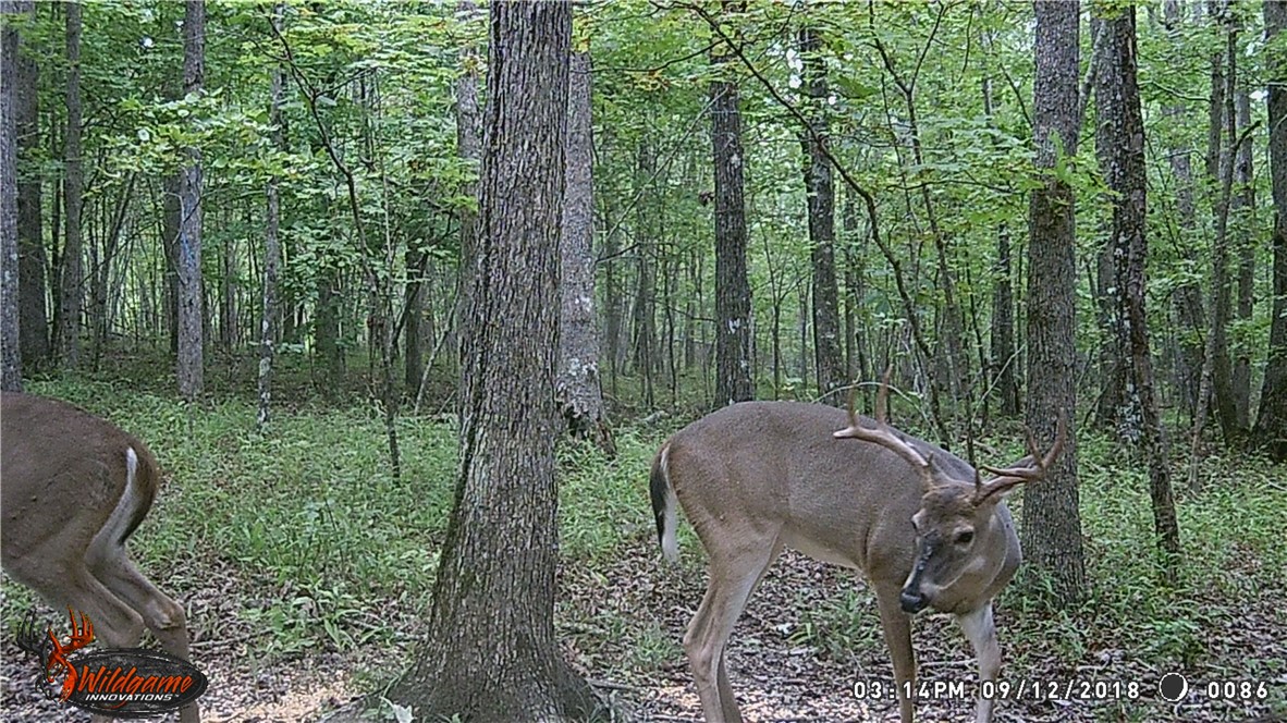 main property photo 53