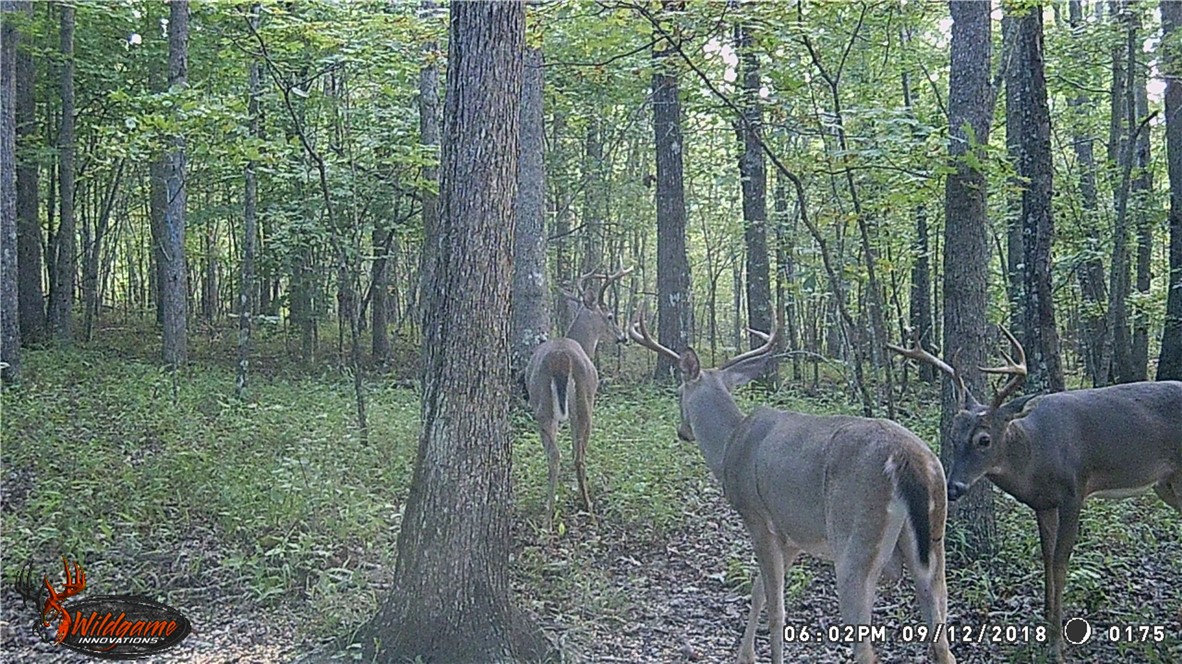 main property photo 57