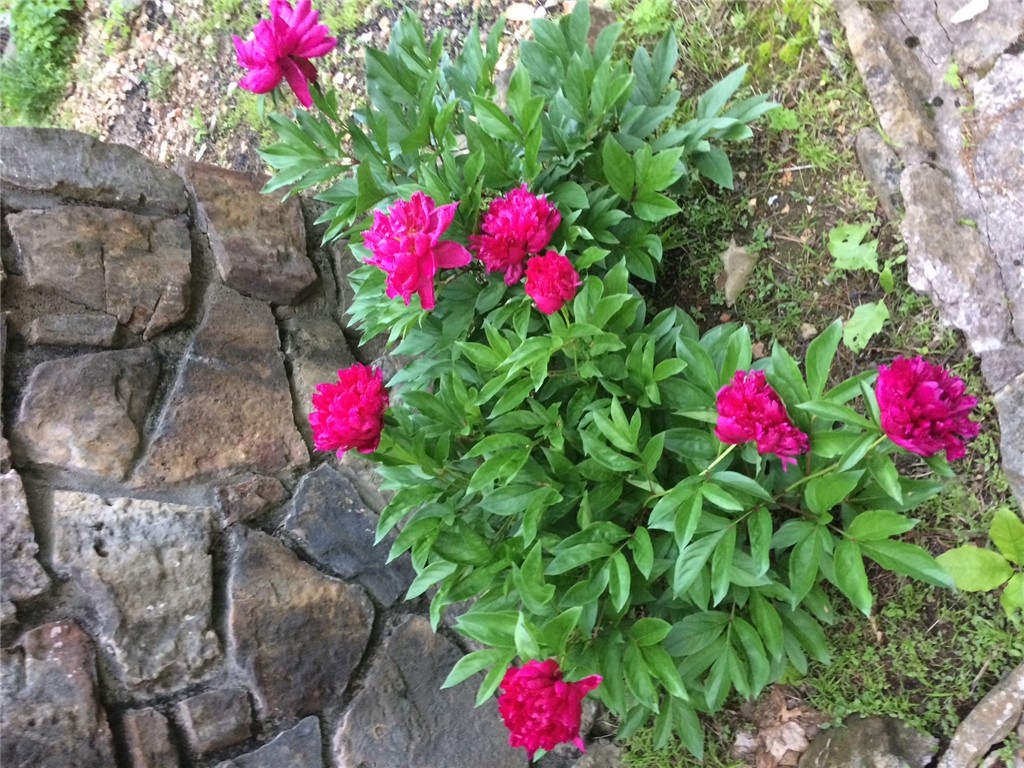 main property photo 55