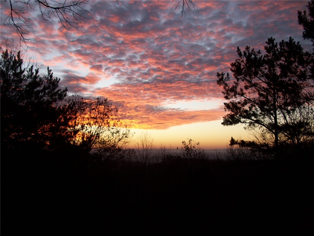 main property photo 56