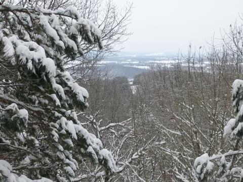 main property photo 57