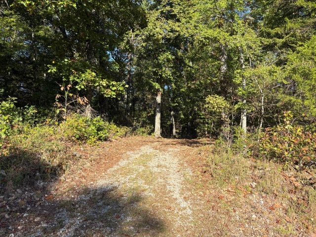 main property photo 18