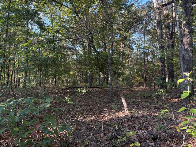 main property photo 21