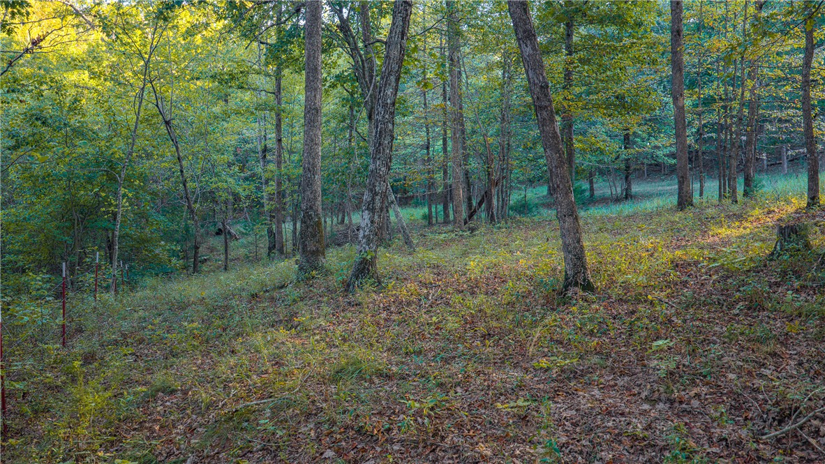 main property photo 24