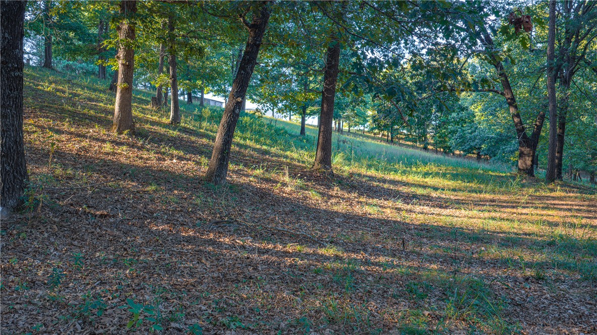 main property photo 25
