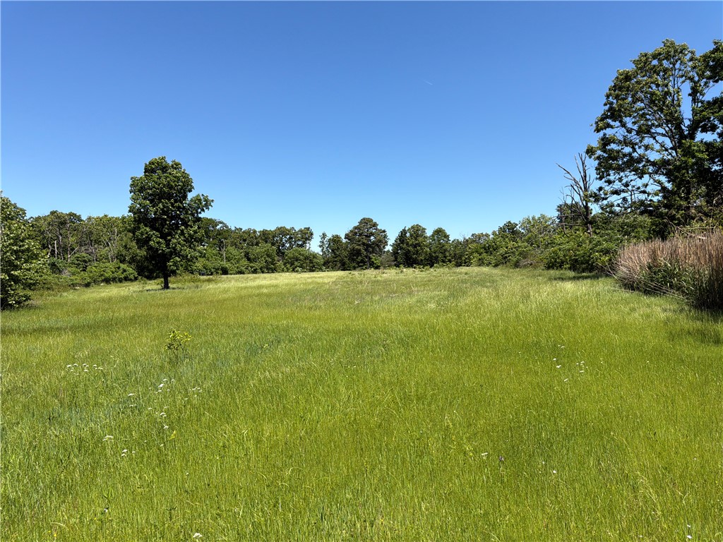 main property photo 25