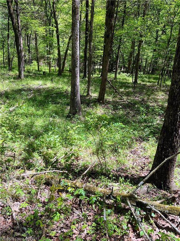 main property photo 27