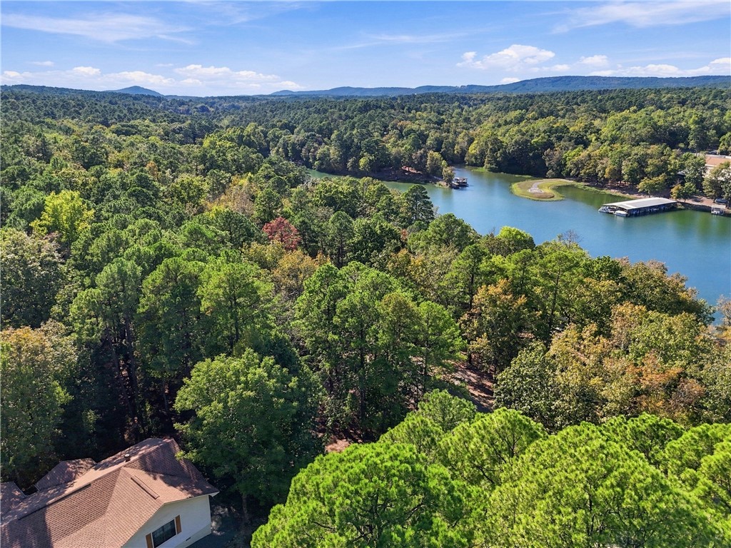 main property photo 54