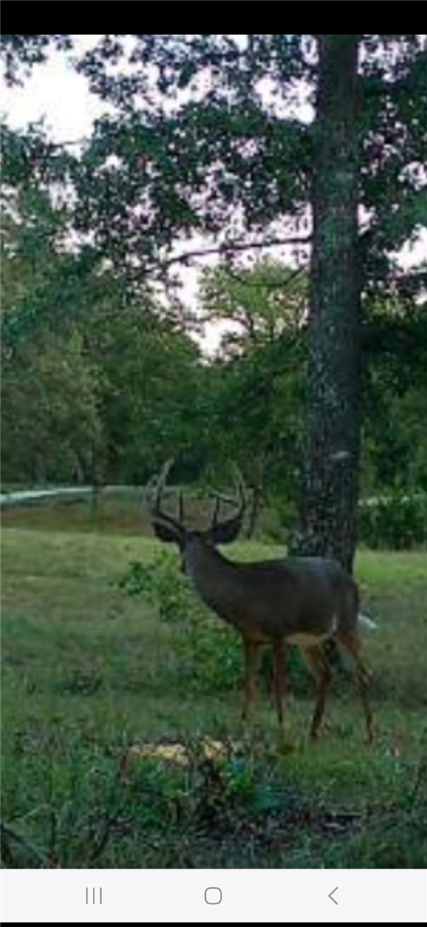 main property photo 25