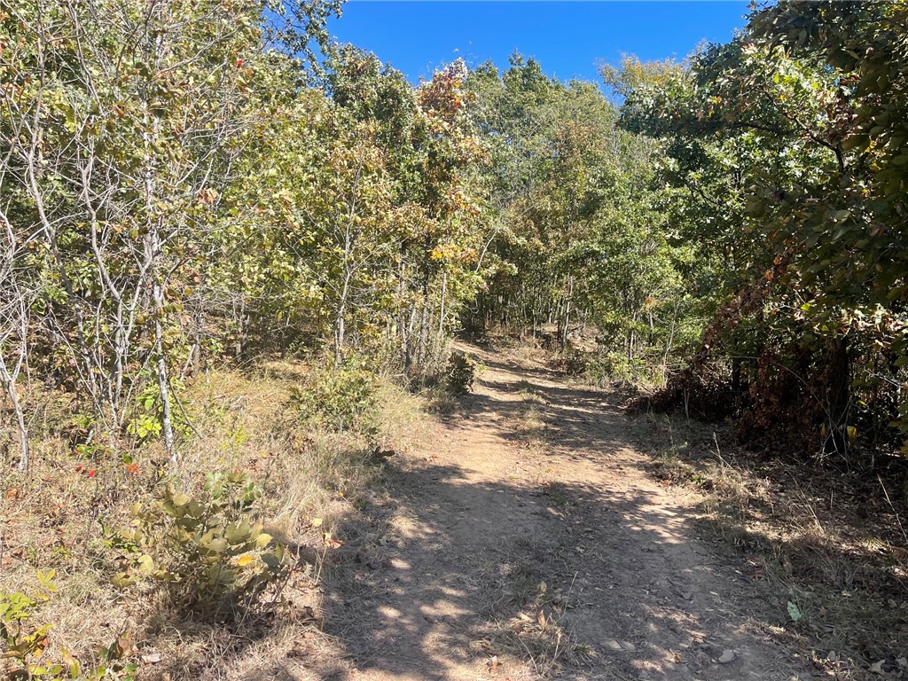 main property photo 35