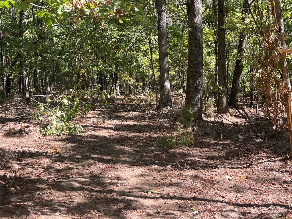 main property photo 37