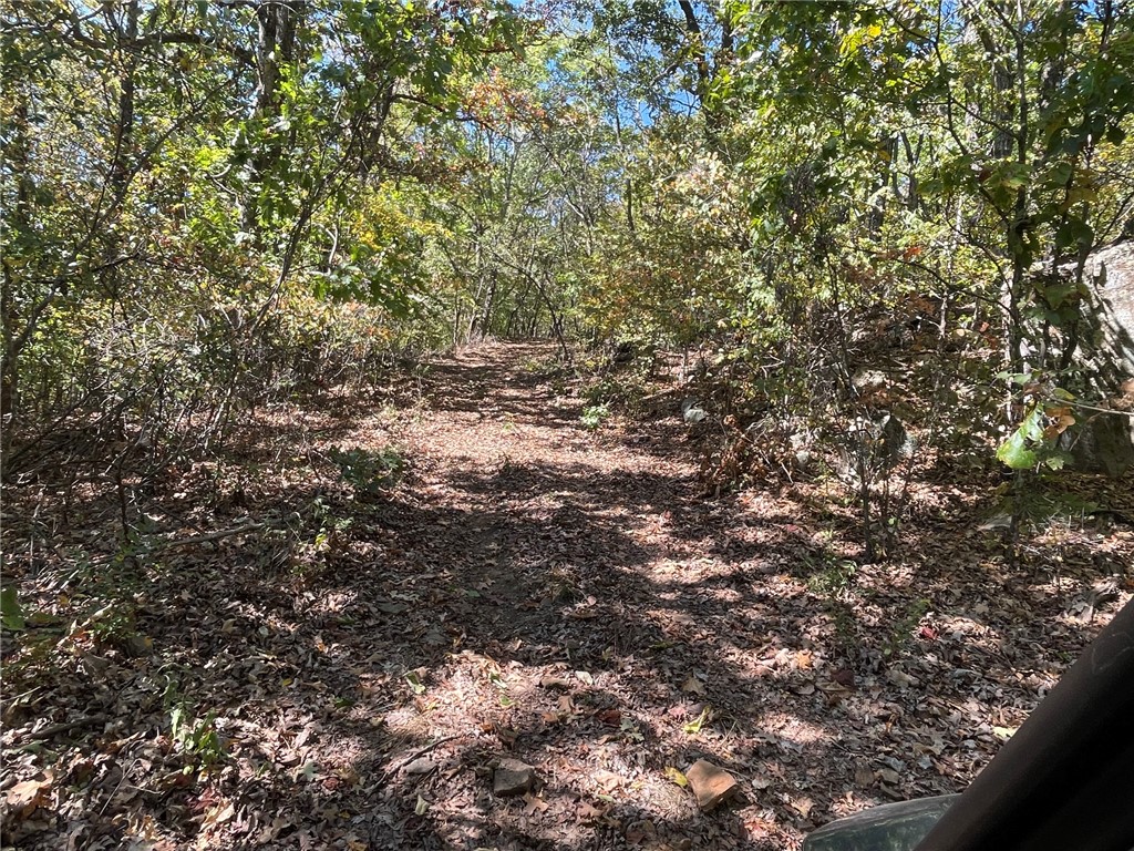 main property photo 38