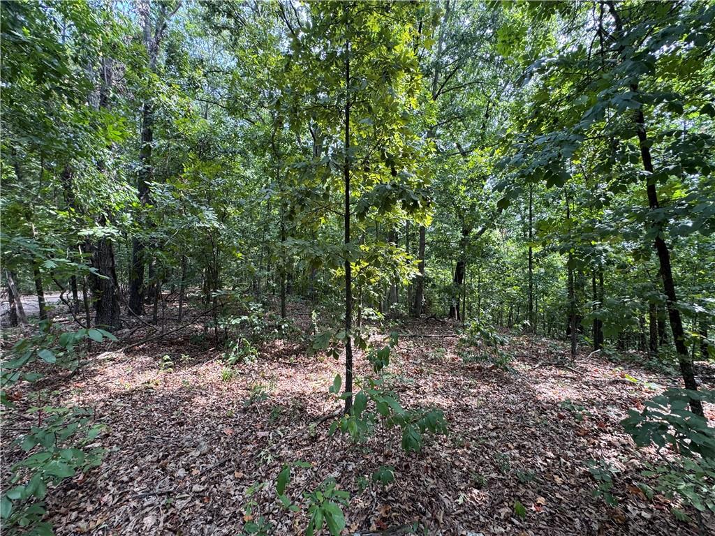 main property photo 12