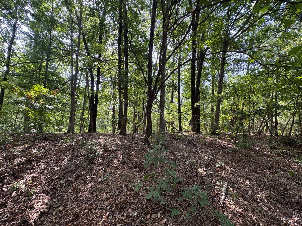 main property photo 10