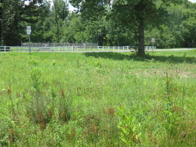 main property photo 7
