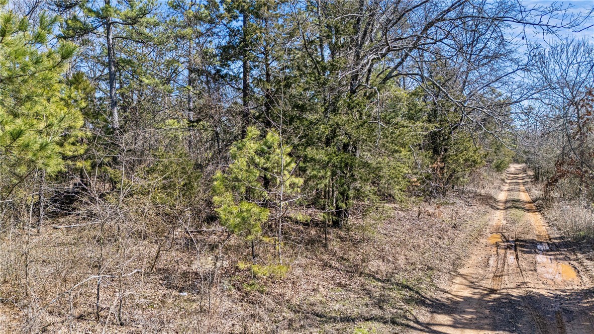 main property photo 12