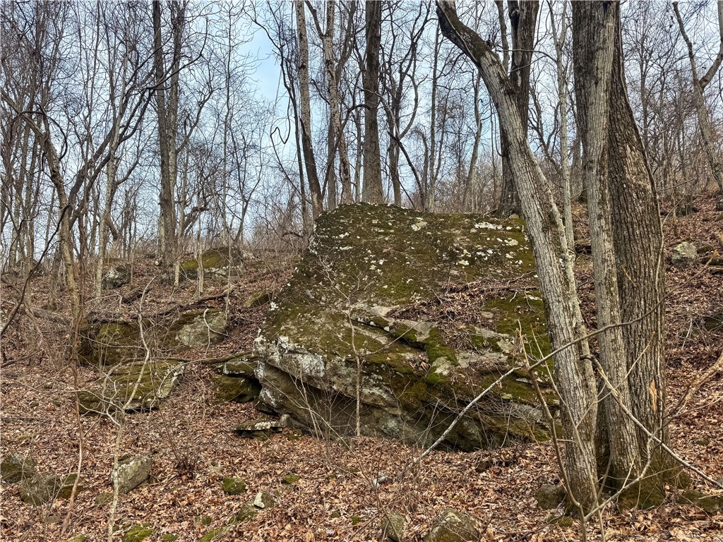 main property photo 14