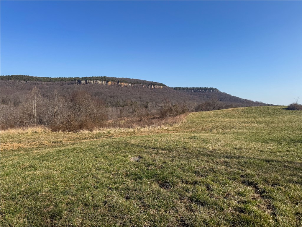 main property photo 18