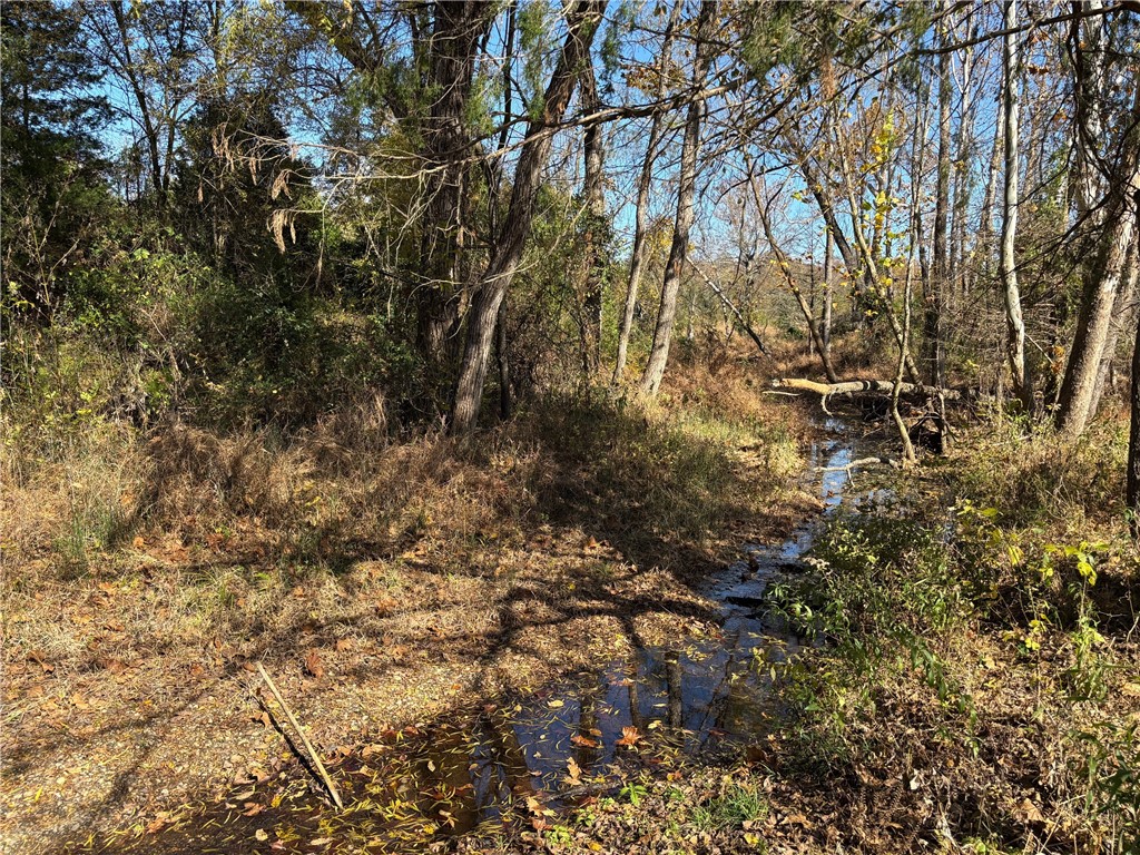 main property photo 19