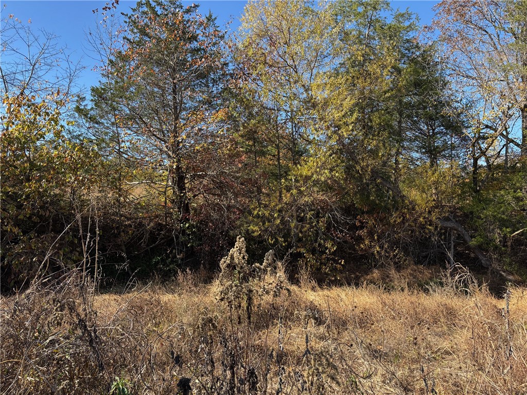 main property photo 23