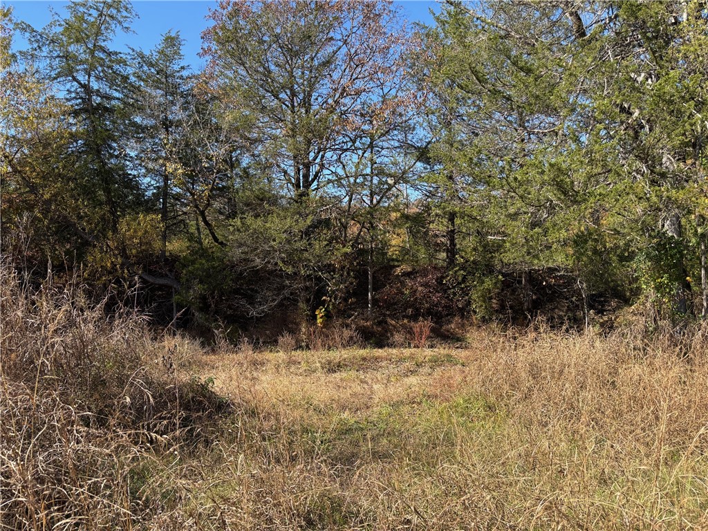 main property photo 28