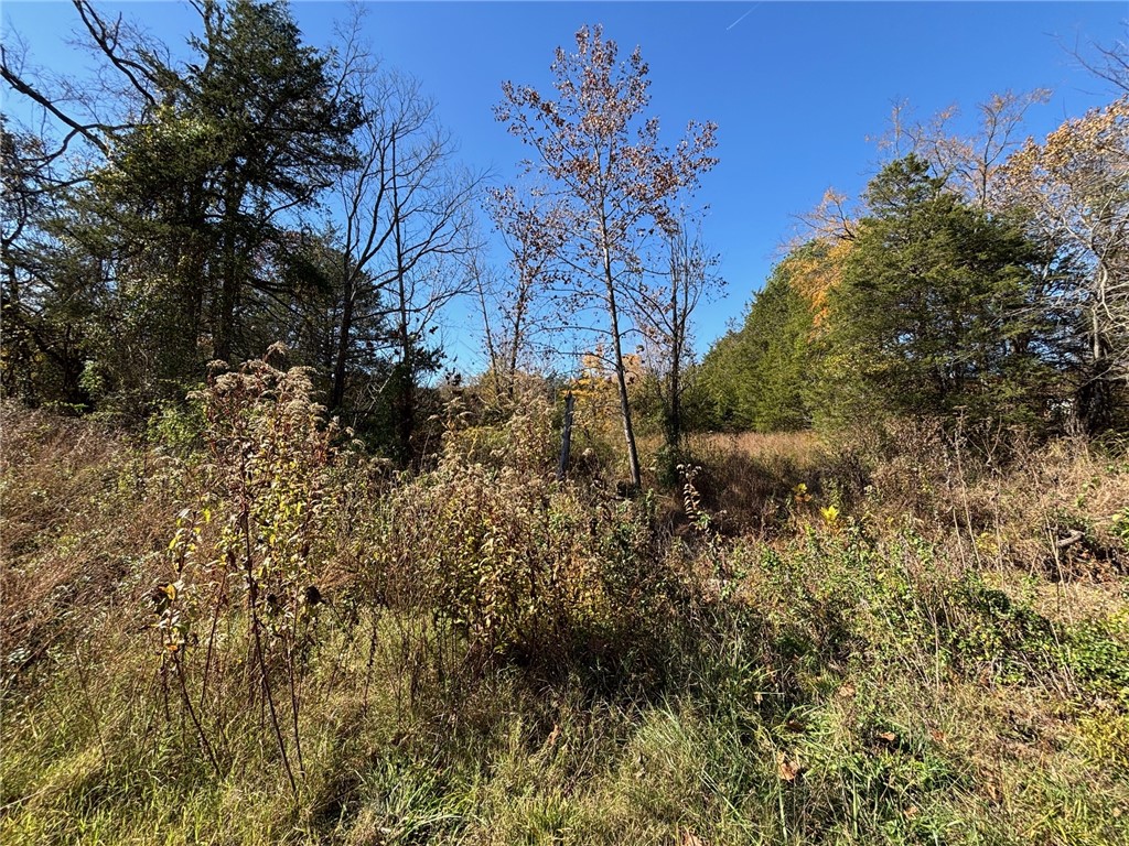 main property photo 36