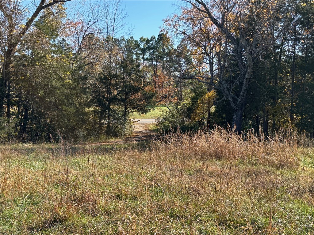 main property photo 44