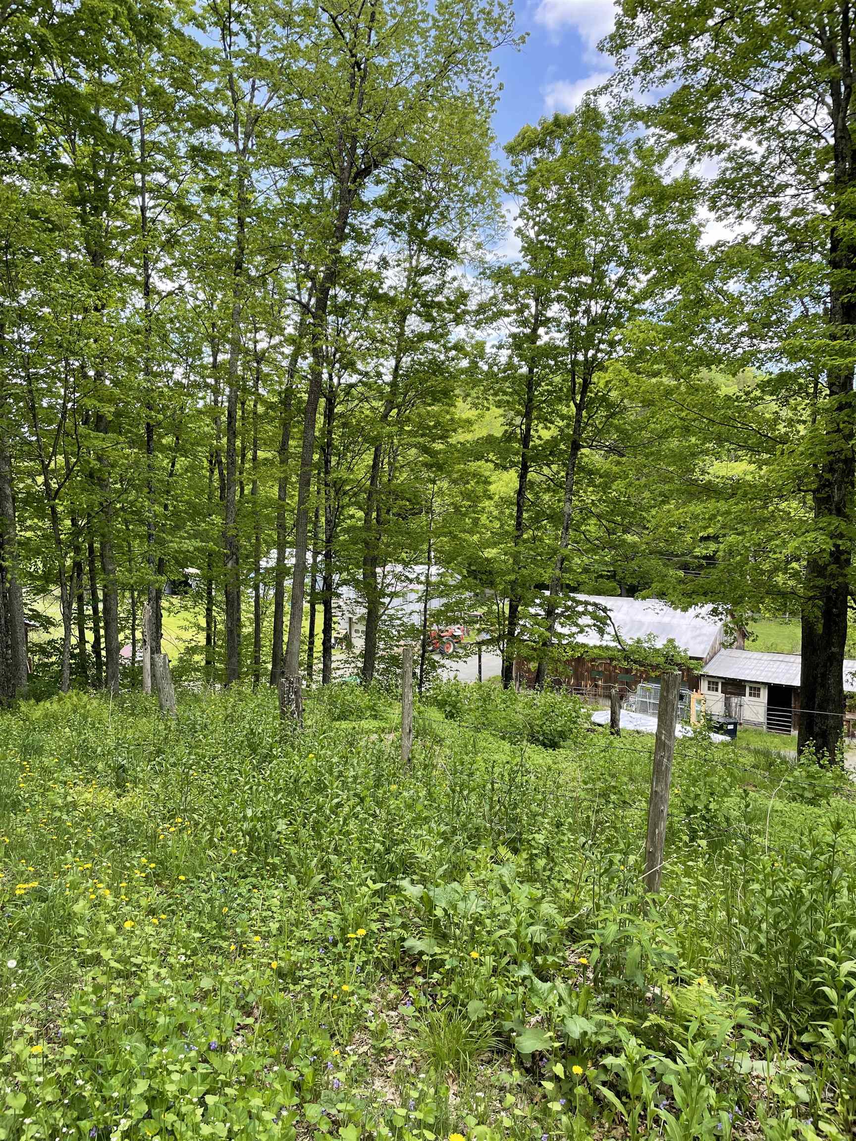 main property photo 13
