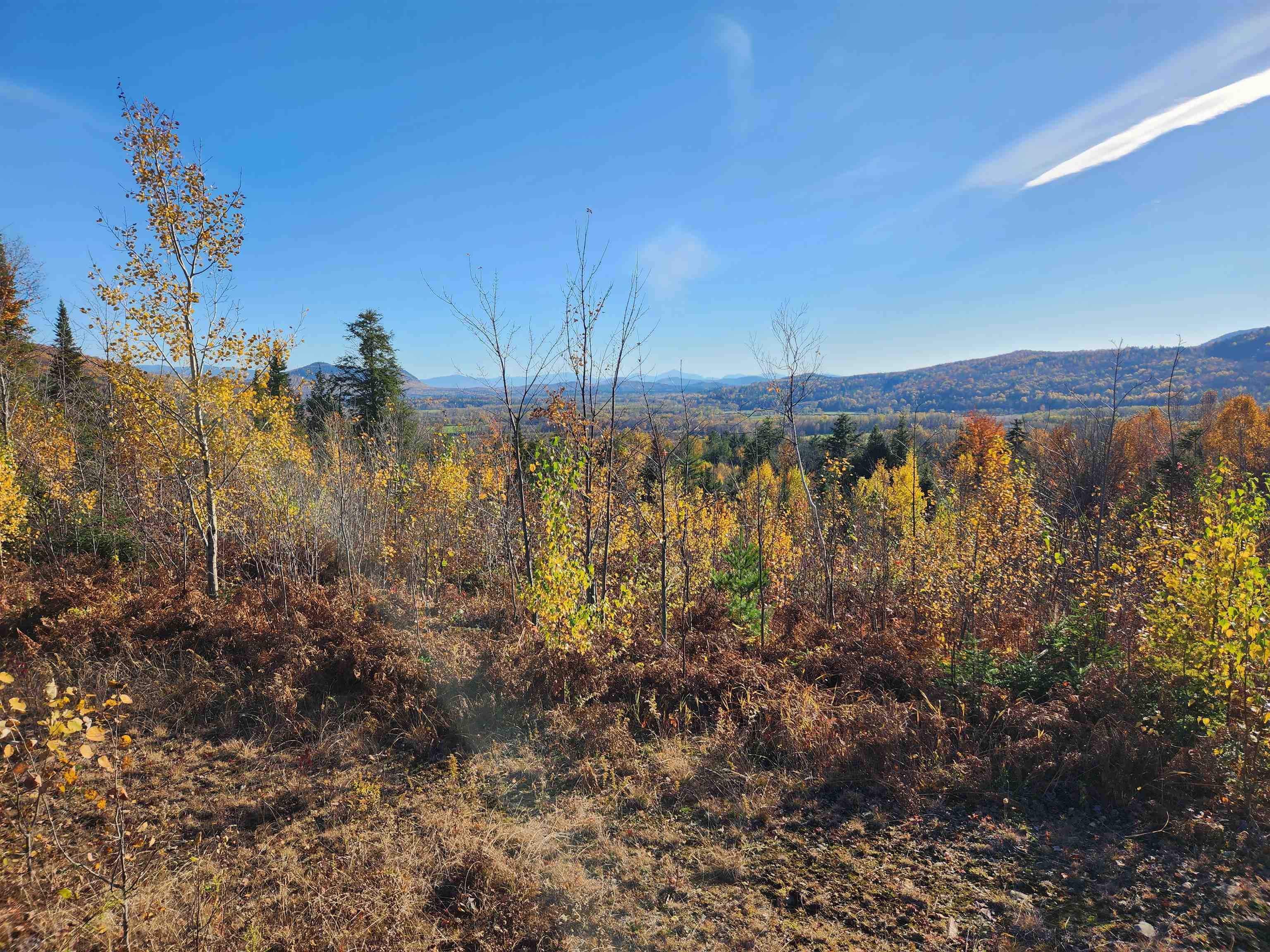 main property photo 31