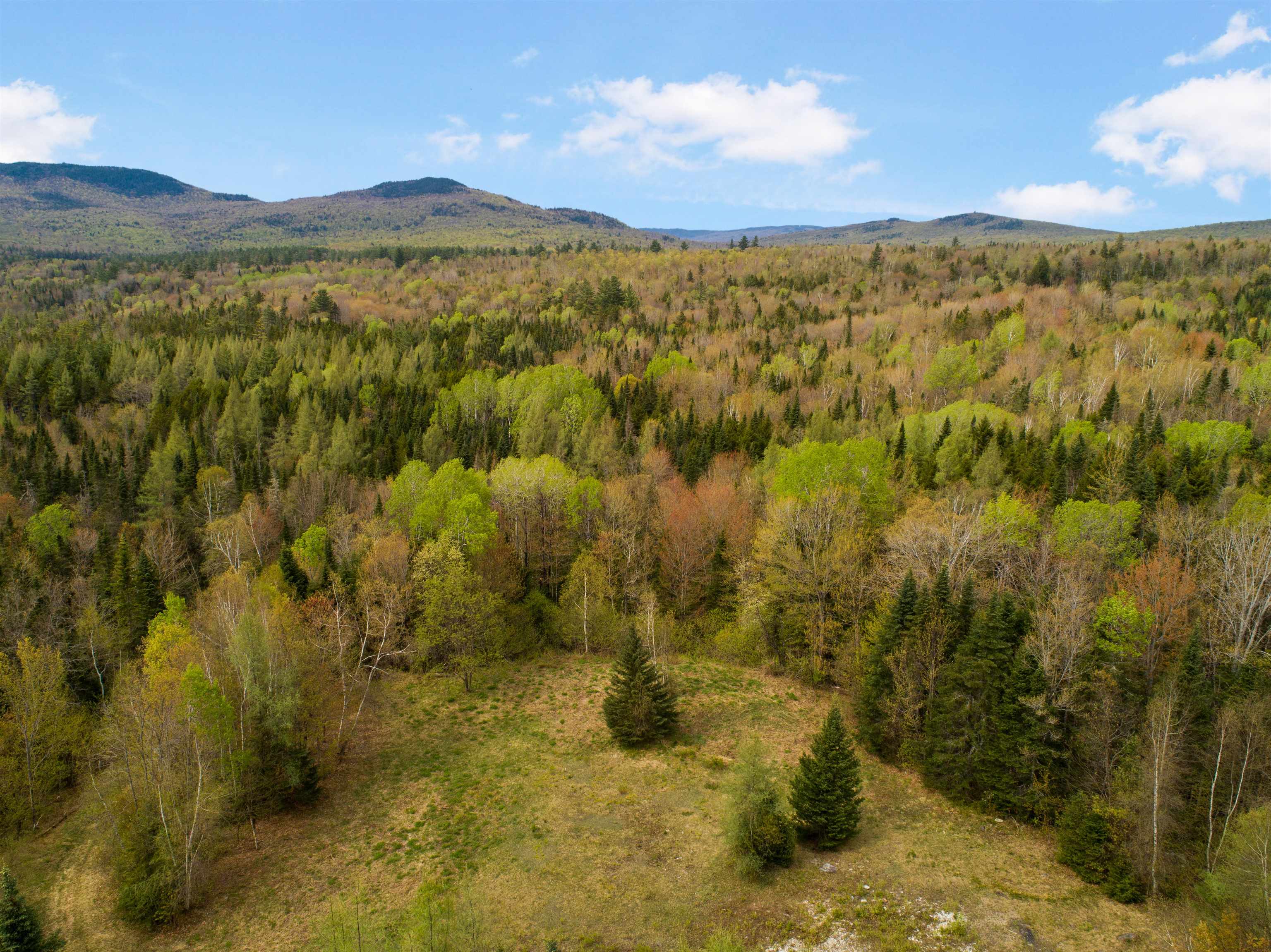 Lot 11 Paris Road, Dummer, NH 03588