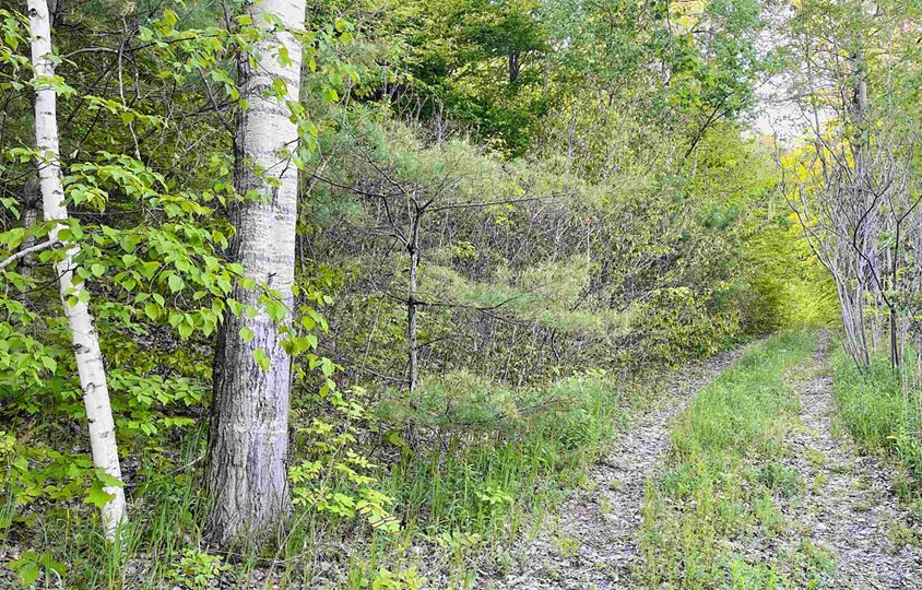 0 Route 5 South Barnet VT 05602 0-route-5-south-barnet-vt-05602