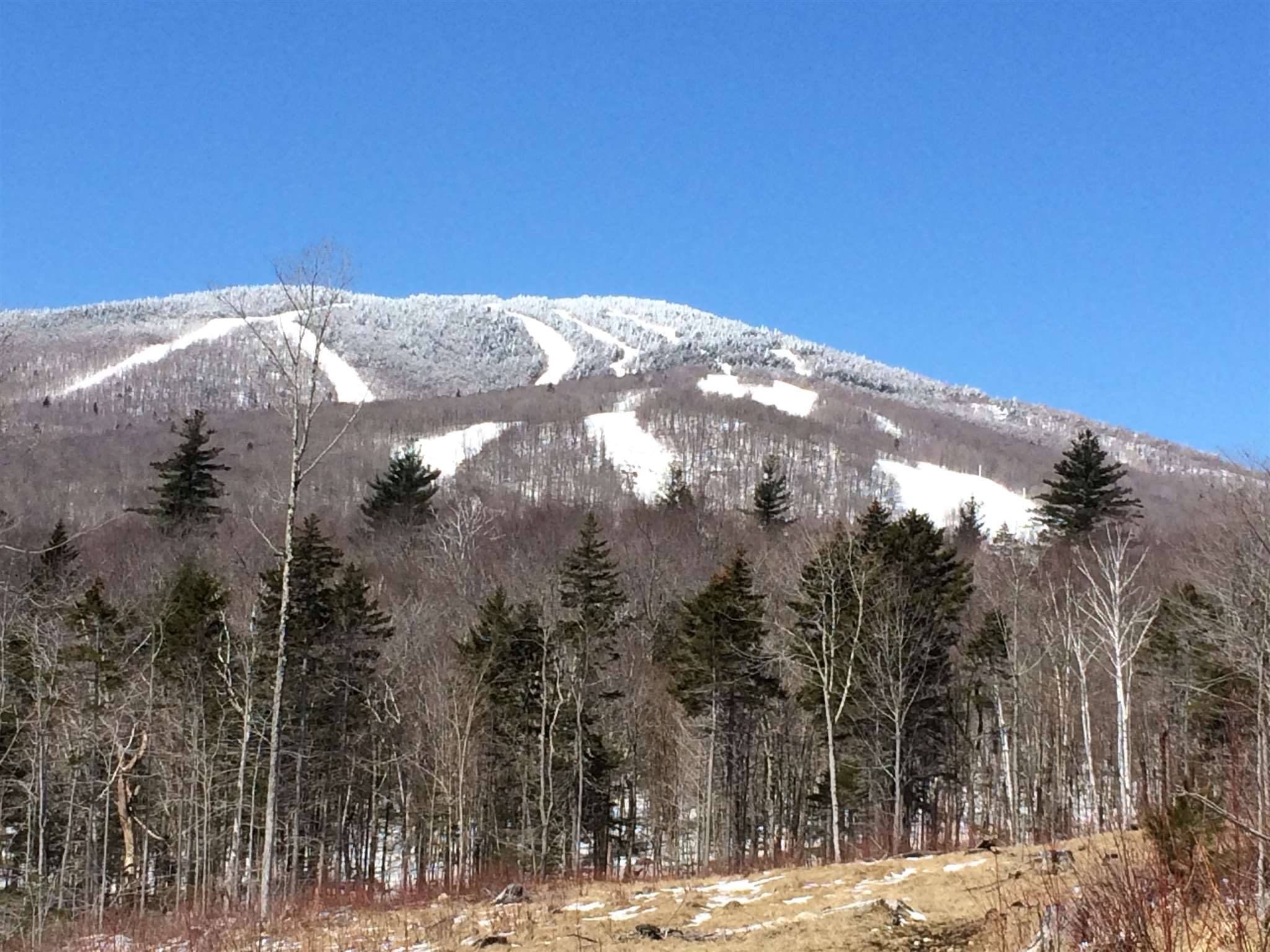 Vermont Craigslist: A Goldmine Of Opportunities - vjhmv8s