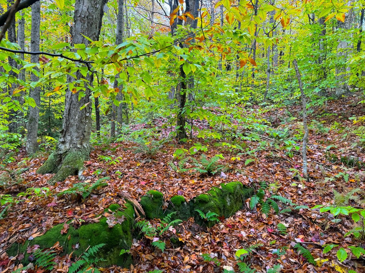 main property photo 19