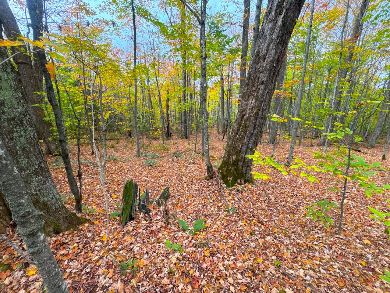 main property photo 21