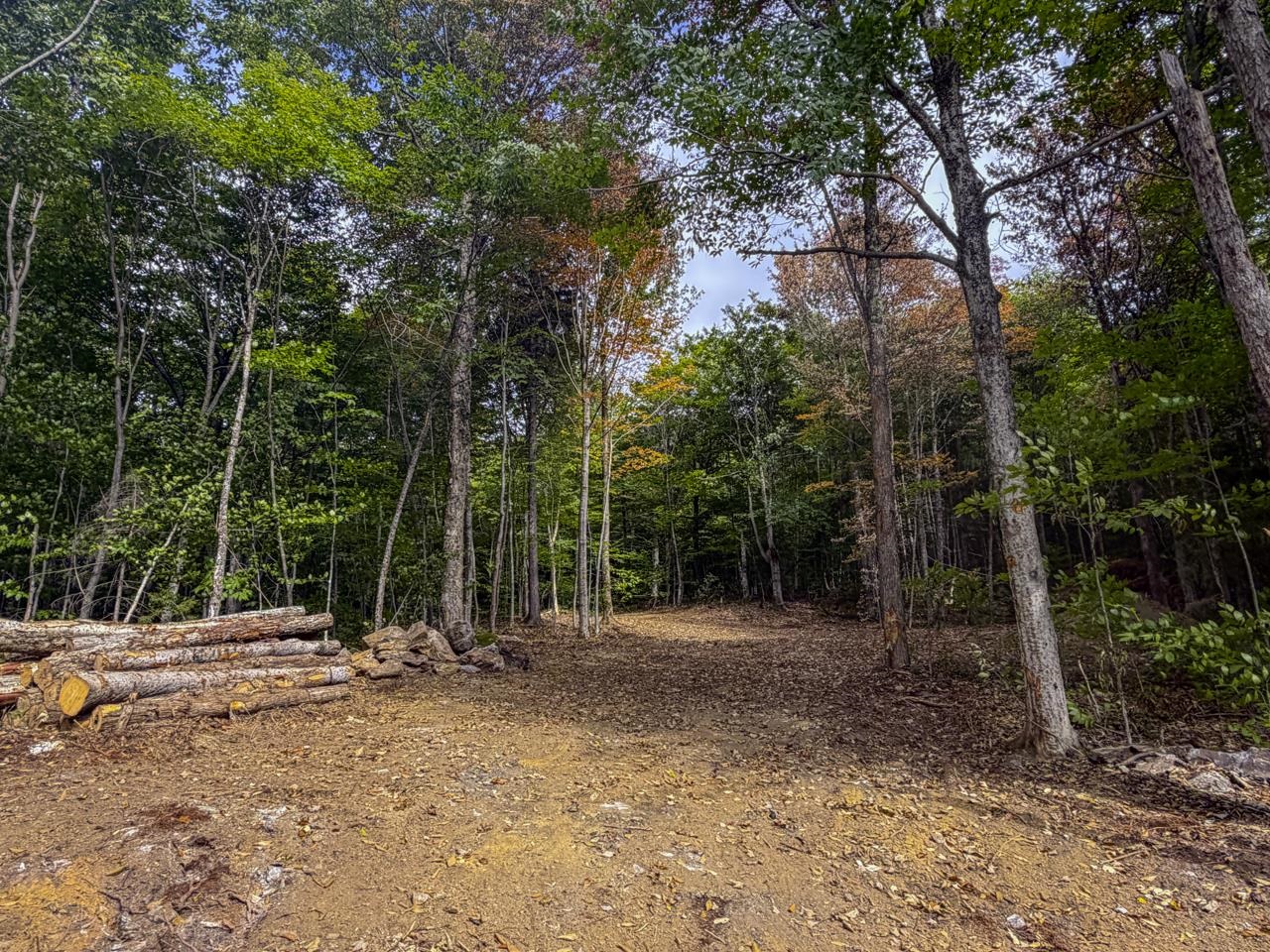 main property photo 48